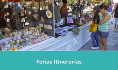 Asesoria de las diversas areas de la gestion empresarial